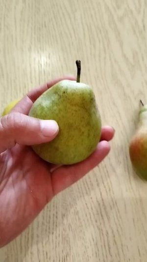 Лучшие по вкусу - Велеса, Мраморная, Просто Мария