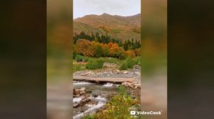 «Рассказ Зелёная лампа  2 Глава»(из рассказа Александра Грина)