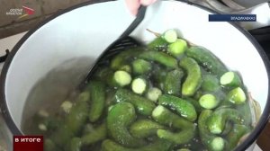 О ситуации на продовольственном рынке и факторах роста цен на овощную продукцию