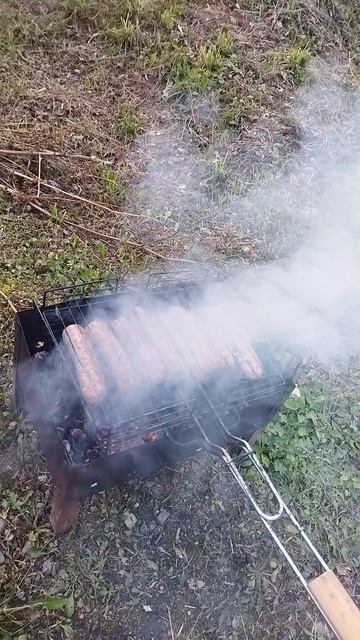 МИШКА 😻😻😻И КУПАТЫ 🥓🥓🥓#кот