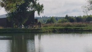 утренние поимки