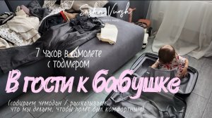 Влог / летим в гости к бабушке / 7 часов в самолете с тодллером