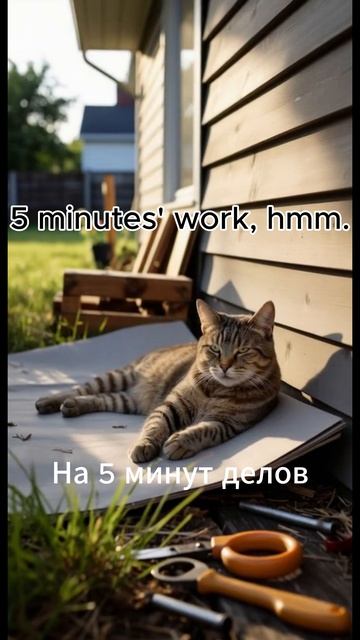 Каждый раз ведусь I Fall For This Every Time 🤣 #pets #веселыекоты #юмор #видосыоткота