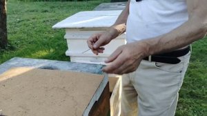 16 августа ПРОВЕРКА на КЛЕЩА