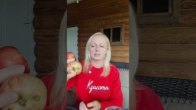Открытый мастер-класс по выведению хлебной закваски. День 0: подготовка