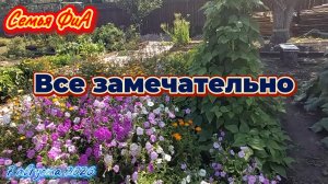 У нас все замечательно!!!