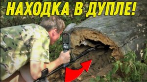 НАХОДКА в Дупле Старого ДЕРЕВЕ УДИВИЛА, Удачный ПОИСК на ЛЕСНЫХ ДОРОГАХ!!!