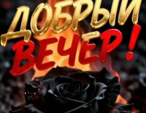 БОЙ БЫКА. АЛЕКСАНДР МАЛИНИН .