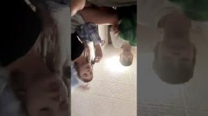 Дима Барсик у меня