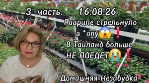 3 часть. Гавриле стрельнуло в *ОПУ😱❗️В Таиланд больше НЕ ПОЕДЕТ😭❗️