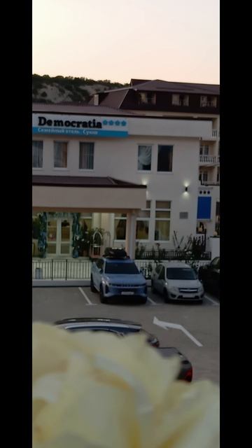 Democratic, которой уже нет