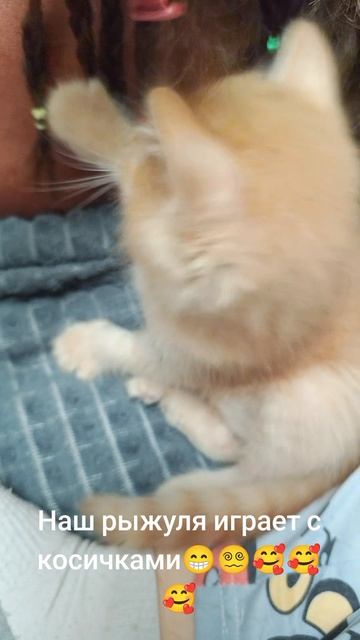#в реки#лучшее#наш рыжуля#играет с папиными косичками😱🫣👍🤔😁😵💫🥰😳