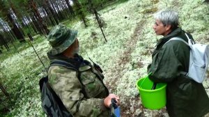 Обыденная грибалка на Удоре 2026г