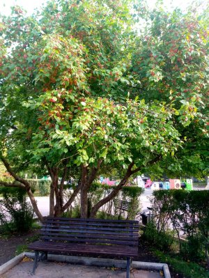 «ВОСКРЕСНАЯ» ТРАНСЛЯЦИЯ!
