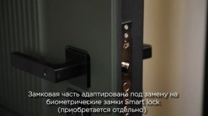 Стальная дверь Scandi с зеркалом (биометрическая дверная ручка Smart lock T888)