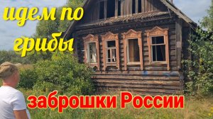 Заброшки России. Знакомьтесь -  Лучший друг и напарник Олега. Едем по грибы...Мои покупки.