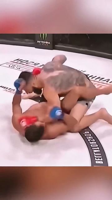 That Kick Landed So Clean Bro Sat Down Like The Round Was Over 💀🦵