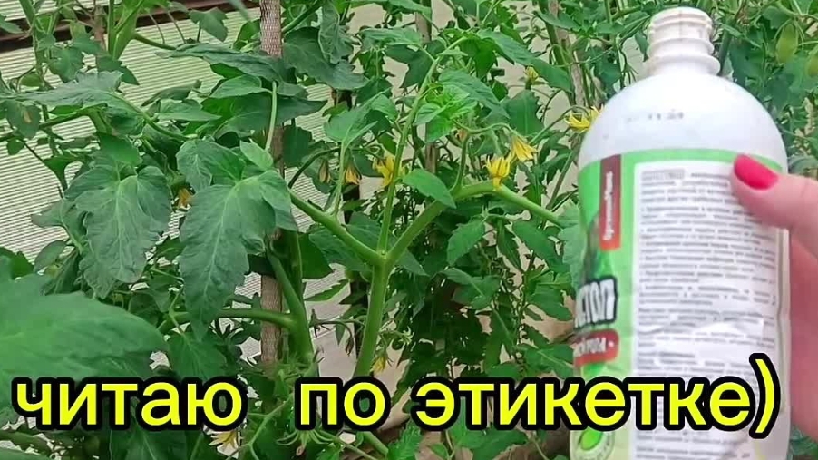 Июнь 2026/ Профилактика