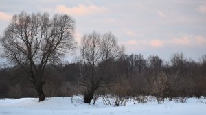 ЗИМНЯЯ РЫБАЛКА