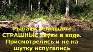 Рыбаки услышали СТРАШНЫЕ звуки в воде. Присмотрелись и не на шутку испугались