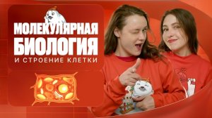 Молекулярная биология и строение клетки | ЕГЭ-2025 с Биологическим Тюленем | Stepenin.ru