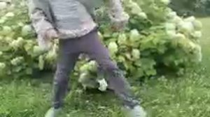 бырчик капуста клип