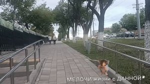 **ЛЮБЯТ НЕ ЗА ЧТО-ТО, А ВОПРЕКИ**ПОСЛУШАЙТЕ КАК ДУШЕВНО И ПРАВИЛЬНО. ЛЮБОВЬ👩❤️💋👨 ЭТО ДАР БОГОВ