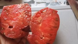 Томаты на семена и дегустация.Что возьмём к следующему сезону