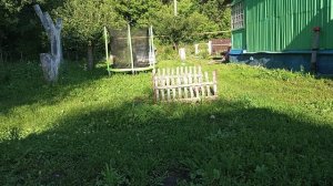 Жизнь на пенсии. Два дня в деревне. Хроника за 12-13.08.2026