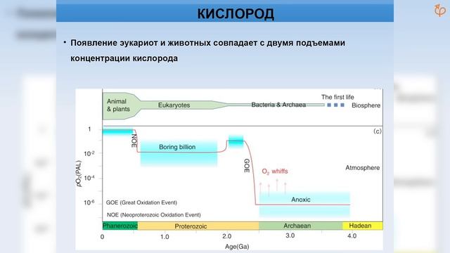 SETI и эволюционное время. Михаил Никитин