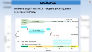 SETI и эволюционное время. Михаил Никитин