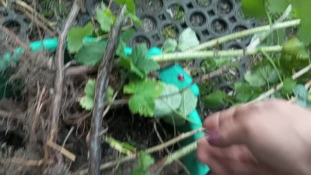 15.08.2026 Собираю заказы для своих подписчиков. Всё как и обещала.
