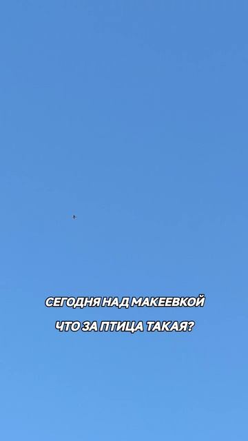 Сегодня над Макеевкой