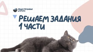 Задания первой части