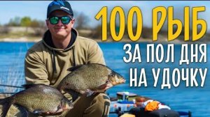 100 РЫБ на удочку за полдня Супер рыбалка на поплавок