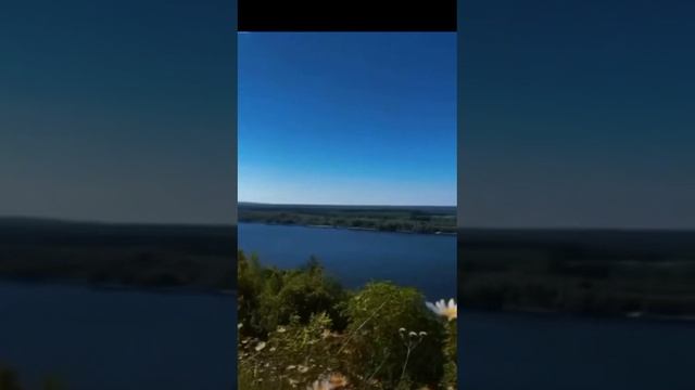 1000046214.mp4