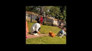 10 привычек, чтобы стать счастливым