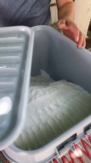 вяленая баранья нога