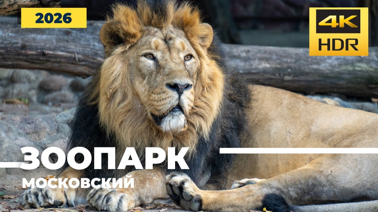 Московский зоопарк 2026г
