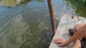 Летний отдых Астраханская область с. Образцовое.