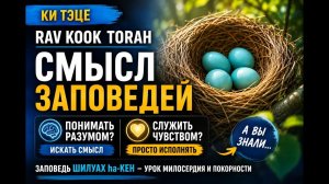 В чем отличие интеллектуального служения Всевышнему от эмоционального? Шилуах аКен. Рав Кук. Ки Теце