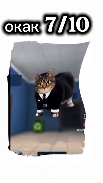 популярные видео