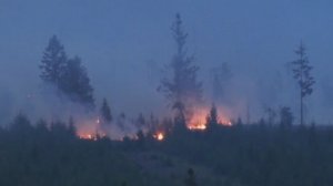 В Европе из-за жары обмелели реки