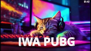 ОБНОВЛЕНИЕ PUBG 42.3 КАСТОМКИ НА G-COIN 18:00 MCK   #PUBGPlaygrounds and #PUBGPartner