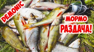 ХОРОШИЙ ОКУНЬ И ПЛОТВА! МОРМЫШИНГ РУЛИТ! DAYO DEMONIC И SEACHASER!