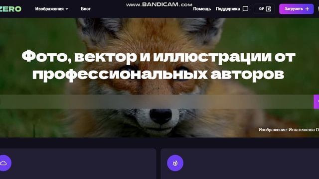 как найти поиск на фотобанк озеро