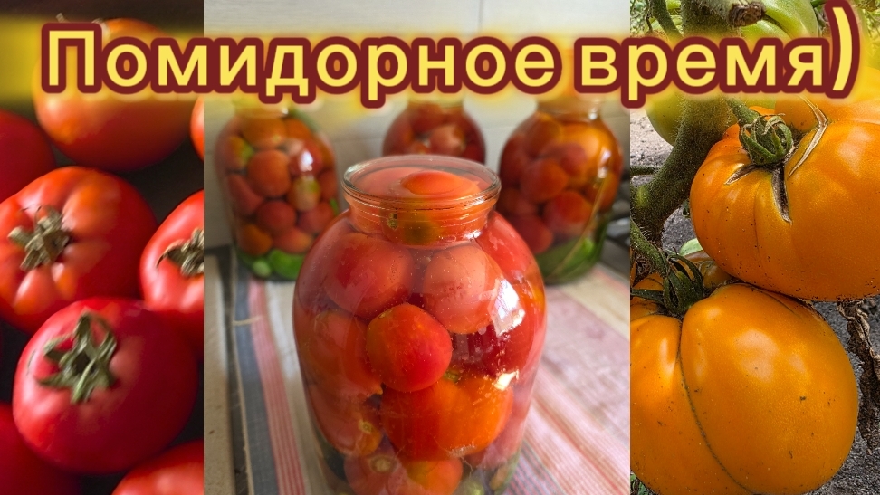 Помидора на зиму в банках. Кетчуп из помидоры. Фаршированная помидора. Цветы августа.