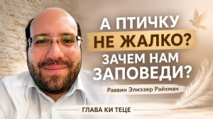 А птичку не жалко? А зачем нам заповеди?