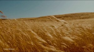 ПЕСНЯ ГОРОСКОП ИЗ ЦИКЛА СТРАХИ «Страхи Водолея».
