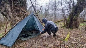 Выживание в диком лесу под проливным дождём | Соло-кемпинг, строительство укрытия и разведение огня
